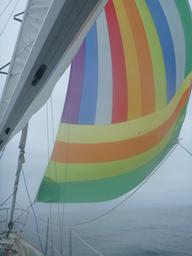 Spinnaker flying on the way to Catalina